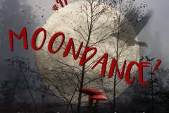 Moondance_47