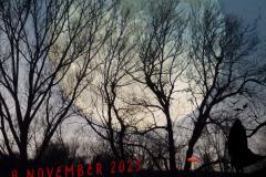 Moondance_59
